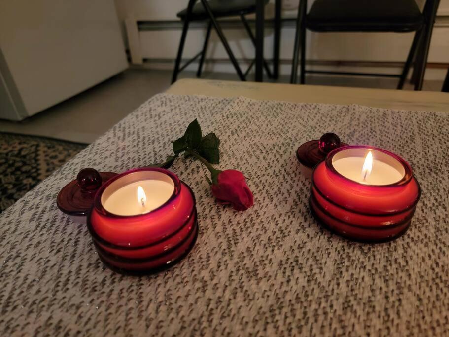 Comfy And Chic Boston Apartment! Free Parking Екстер'єр фото